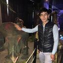 ���������� �����, ���� ������� ���, 33 ����, ������������ ��� ������, ����� � ���������