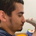 ���������� �������������, ���� ����� �������, 24 ����, ������������ ��� ������, ����� � ���������