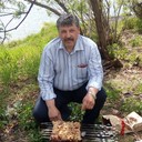 ���������� ����������, ���� ������� ������, 57 ���, ������������ ��� ������, ����� � ���������, c�������� ���������