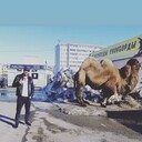 ���������� ������, ���� ������� �����, 28 ���, ������������ ��� ������, ����� � ���������