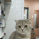 ���������� ������, ���� ������� �����, 31 ���, ������������ ��� ������, ����� � ���������