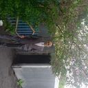  ,   , 36 ,   ,   , c , 