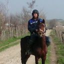 ���������� �����-���������, ���� ������� ����, 36 ���, ������������ ��� ������, ����� � ���������