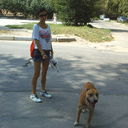 ���������� ���������, ���� ������� ������, 36 ���, ������������ 