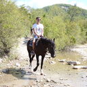 ���������� ������, ���� ������� ������, 34 ����, ������������ ��� c�������� ���������