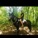 ���������� ���������, ���� ������� �����, 42 ����, ������������ ��� ������, ����� � ���������