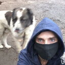  ,   , 43 ,   ,   