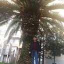 ���������� �����������, ���� ������� �������, 44 ����, ������������ ��� ������, ����� � ���������, c�������� ���������