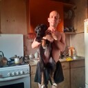 ���������� �����, ���� ������� ����, 49 ���, ������������ ��� ������, ����� � ���������