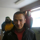   ,   , 39 ,   