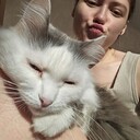  ,   , 22 ,     , c 