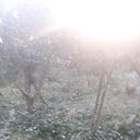  ,   Mamuka, 61 ,   ,   