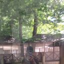 ���������� ���������, ���� ����� ������, 20 ���, ������������ ��� ������, ����� � ���������