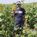 ���������� �������, ���� ������� ������, 43 ����, ������������ ��� ������, ����� � ���������, c�������� ���������, ���������