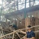 ���������� �����-���������, ���� ������� Karo, 31 ���, ������������ ��� ������, ����� � ���������, c�������� ���������