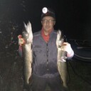 ���������� ������, ���� ������� �����, 38 ���, ������������ ��� ������, ����� � ���������