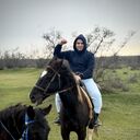 ���������� ���������, ���� ������� �����, 33 ����, ������������ ��� ������, ����� � ���������, c�������� ���������