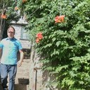 ���������� �������, ���� ������� Vakhtangi, 41 ���, ������������ ��� ������, ����� � ���������, c�������� ���������