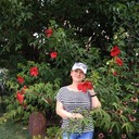 ���������� ������, ���� ������� ������, 52 ����, ������������ 