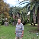 ���������� ��������, ���� ������� �������, 72 ����, ������������ ��� ������, ����� � ���������, c�������� ���������, ���������