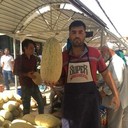 ���������� �����-���������, ���� ������� ����, 44 ����, ������������ ��� ������, ����� � ���������, c�������� ���������