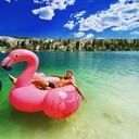 ���������� ������������, ���� ������� ����, 29 ���, ������������ ��� ������, ����� � ���������