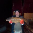 ���������� �������, ���� ������� �������, 50 ���, ������������ ��� ������, ���������