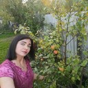 ���������� �����������, ���� ������� ����������, 40 ���, ������������ ��� c�������� ���������