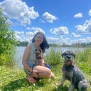 ���������� ������, ���� ������� ����, 44 ����, ������������ ��� c�������� ���������