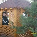 ���������� ��������, ���� ������� ����, 35 ���, ������������ ��� ������, ����� � ���������, c�������� ���������