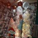 ���������� ����, ���� ������� �����, 44 ����, ������������ ��� ������, ����� � ���������, c�������� ���������