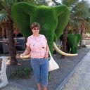 ���������� ������������, ���� ������� ������, 66 ���, ������������ ��� ������, ����� � ���������