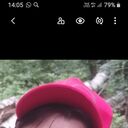 ���������� ������, ���� ������� ����, 57 ���, ������������ ��� ������, ����� � ���������, c�������� ���������