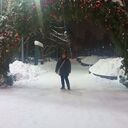 ���������� ������, ���� ������� ������, 42 ����, ������������ ��� ������, ����� � ���������, c�������� ���������