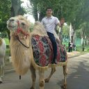 ���������� ������, ���� ������� ������, 38 ���, ������������ ��� ������, ����� � ���������, c�������� ���������