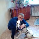 ���������� �����������-��-�����, ���� ������� ��������, 38 ���, ������������ ��� ����� � ���������, c�������� ���������