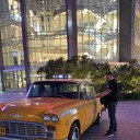 ���������� ������, ���� ������� ������, 43 ����, ������������ ��� ������, ����� � ���������