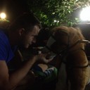 ���������� �����, ���� ������� ������, 40 ���, ������������ ��� ������, ����� � ���������, c�������� ���������