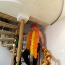 ���������� �������, ���� ������� Alex, 45 ���, ������������ ��� ������, ����� � ���������, c�������� ���������