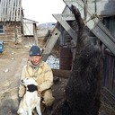  ,   , 50 ,   ,   , c 