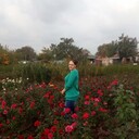  --,   , 31 ,   ,   , c , 