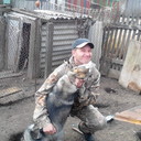 ���������� �����, ���� ������� ���������, 41 ���, ������������ ��� ������