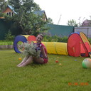  ,   , 43 ,   ,   , c 