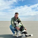 ���������� ������, ���� ������� �����, 31 ���, ������������ ��� ������, ����� � ���������, c�������� ���������, ���������