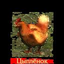 ���������� ����������, ���� ������� �����, 35 ���, ������������ ��� ������, ����� � ���������, c�������� ���������, ���������