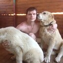 ���������� ������, ���� ������� ������, 38 ���, ������������ ��� ������, ����� � ���������, c�������� ���������