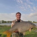  ,   , 49 ,  