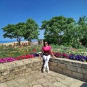  ,   Viola, 50 ,   ,   , c 