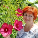  -,   Nata, 53 ,     , c 