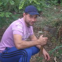  ,   , 43 ,   